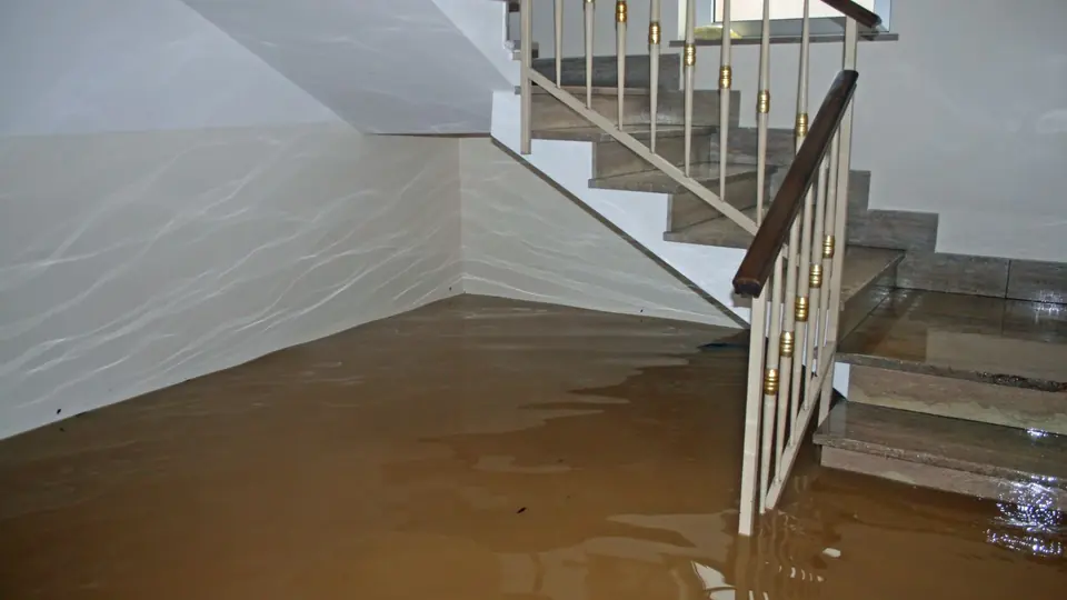 Flooded basement stairwell with water covering the lower steps
