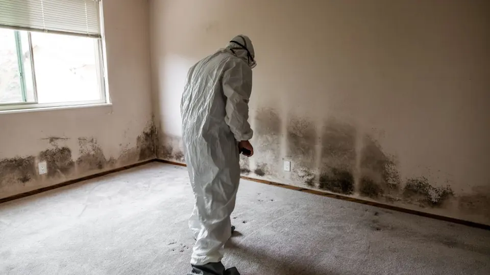 Inspector in a protective suit checking a wall in an empty room