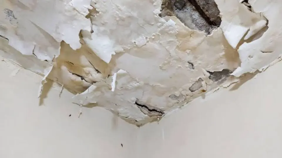 Peeling paint and plaster on a ceiling corner after a leak