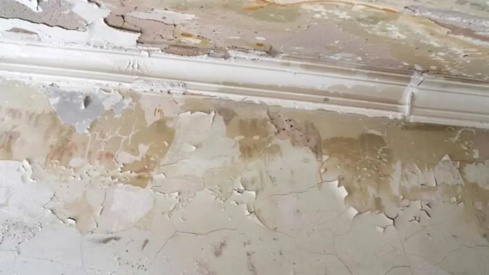 Peeling paint and staining along a baseboard